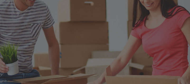 C-onsulting Webdesign Agentur– Mehr Kunden und Umsatz durch professionelles Online-Marketing